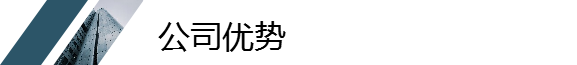 公司優(yōu)勢